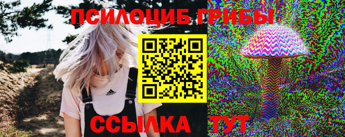 Йошкар-Ола  Псилоцибиновые грибы Psilocybine cubensis  Вход с VPN  Псилоцибиновые грибы мицелий 